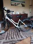 Rower damski Goetze gemini