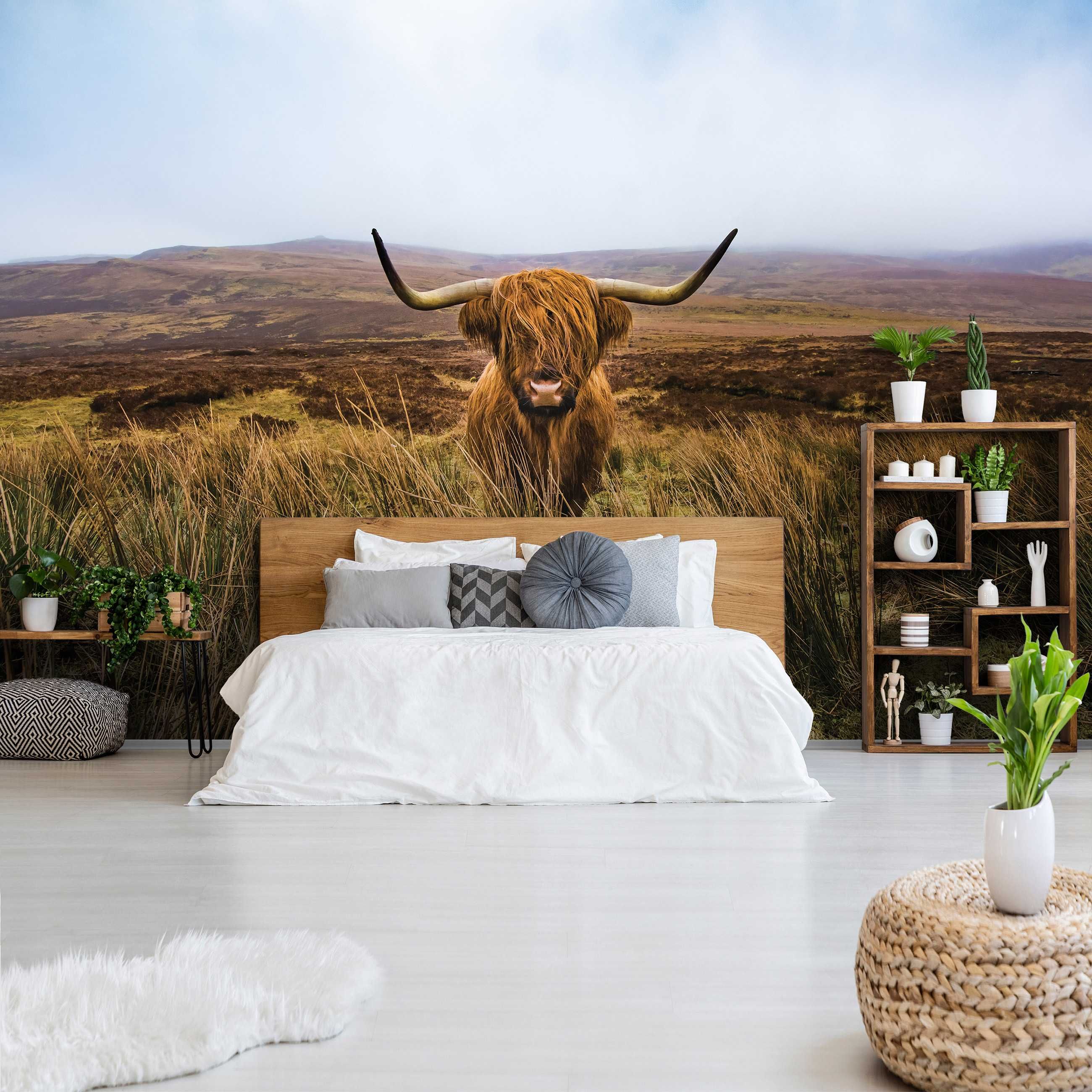 Fototapeta Highland Cattle Krowa 3D Na Twój Własny Rozmiar + KLEJ