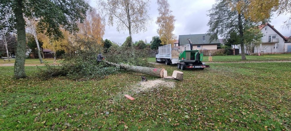 Wycinka drzew przycinanie wywóz gałęzi Rębak karczowanie terenów