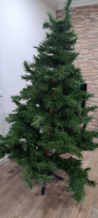 Pinheiro de Natal