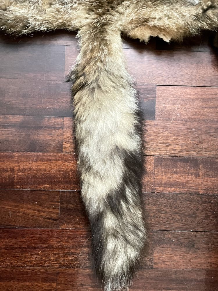 Pele Raposa tratada