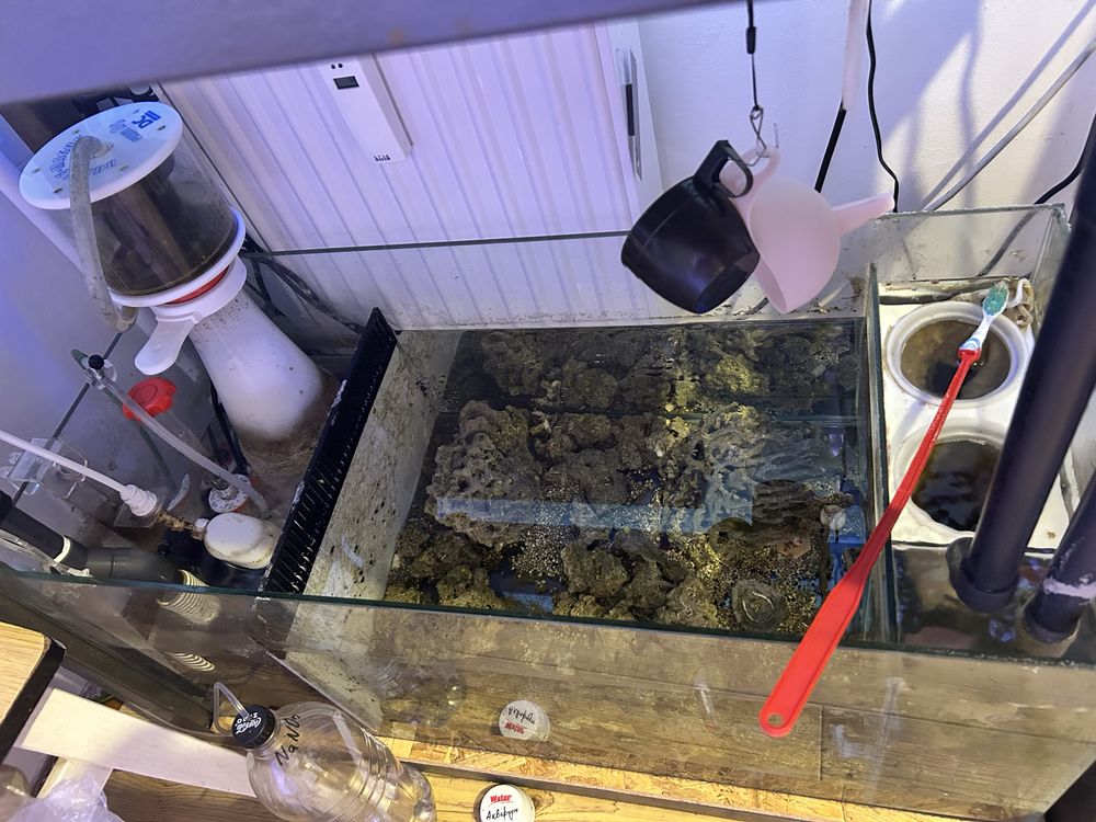 Akwarium morskie 128L + sump