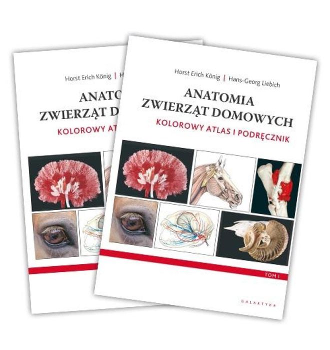 Anatomia zwierząt domowych. Kolorowy atlas. w.4