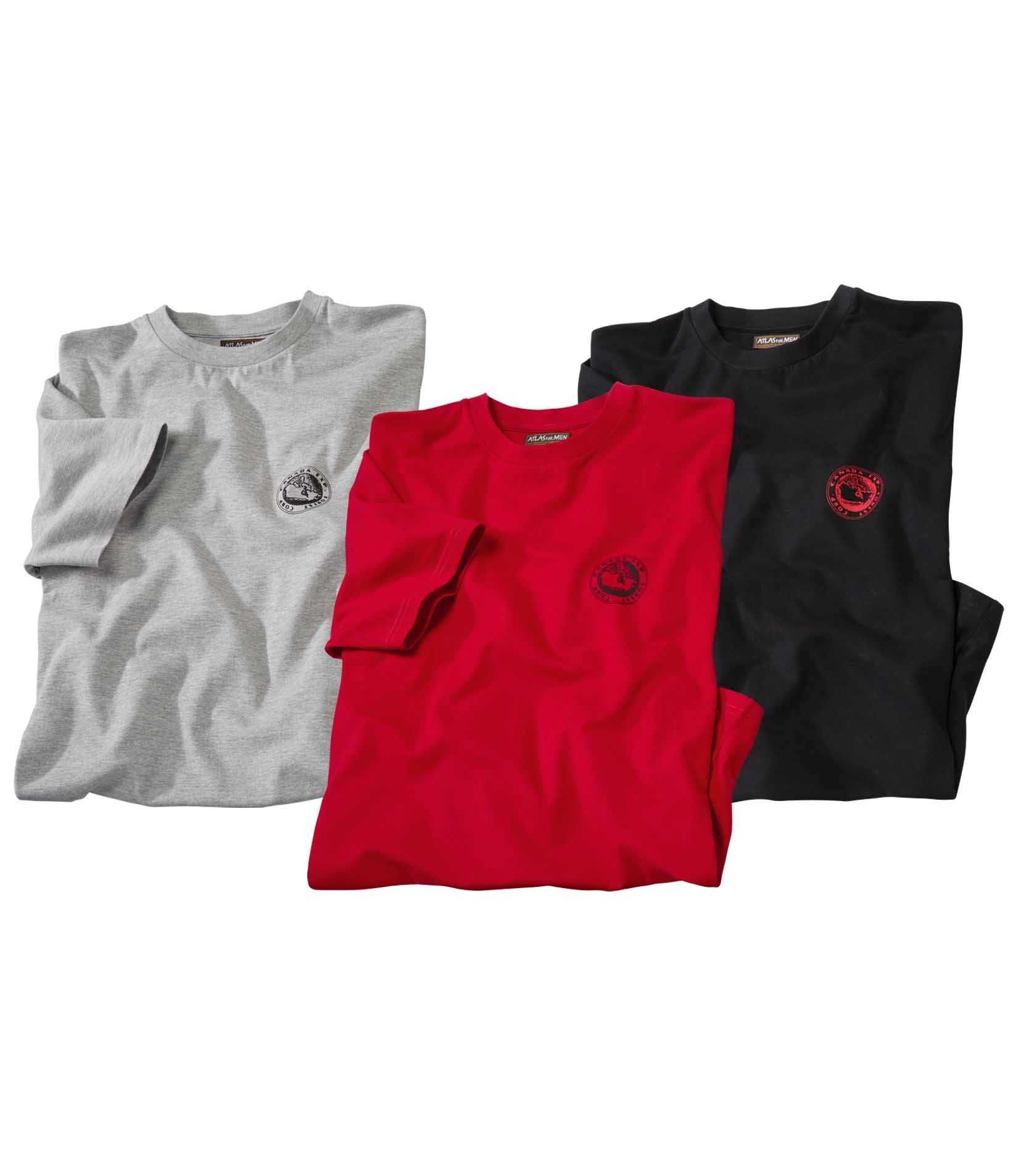 3 X Męska koszulka T-shirt zestaw bawełna M R6007 ATLAS FOR MEN