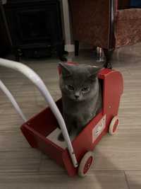 Wózeczek dla lalki lub kotka