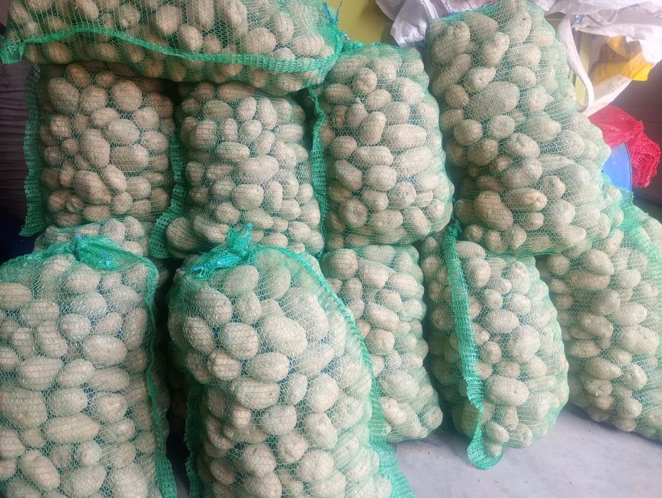 Ziemniaki  Ekologiczne BIO z Certyfikatem