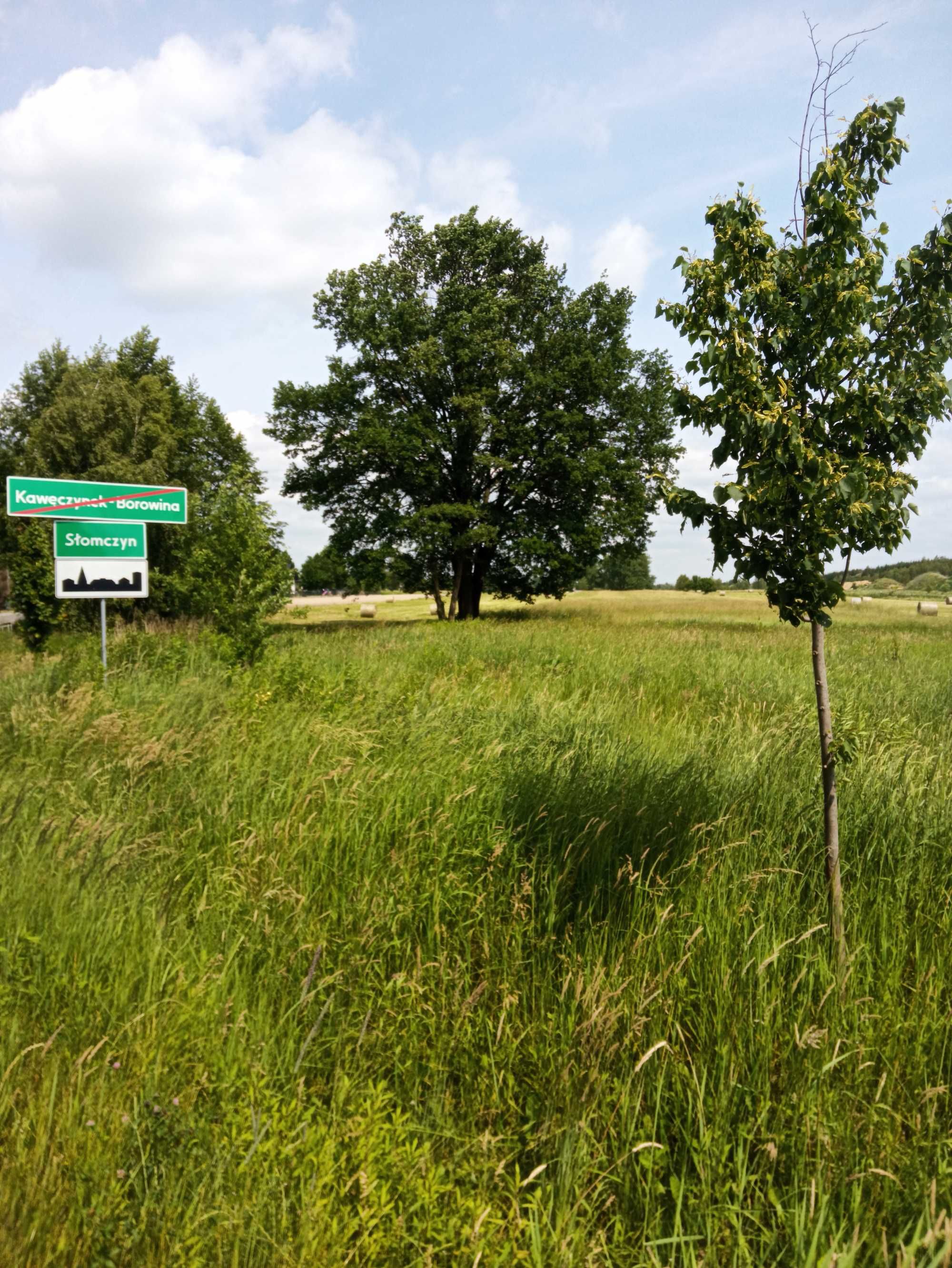 Sprzedam ziemię gm. Konstancin-Jeziorna