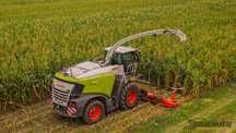 Kukurydza | zbiór | kiszonka | CLAAS Jaguar | SHREDLAGE® | RomaxAgro