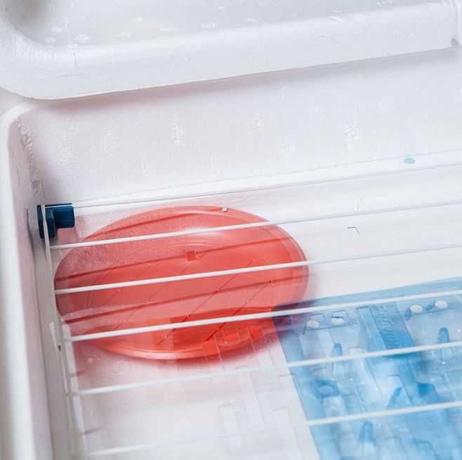 Інкубатор для яєць на 150шт. Рябушка. Аналоговий механічний.