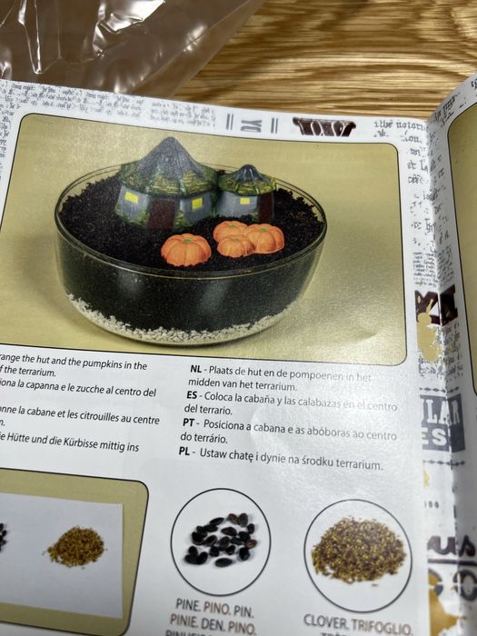 Terrarium Harrego Pottera Clementoni  sadzenie dyni