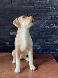 Pies Labrador figurka porcelana Coopercraft