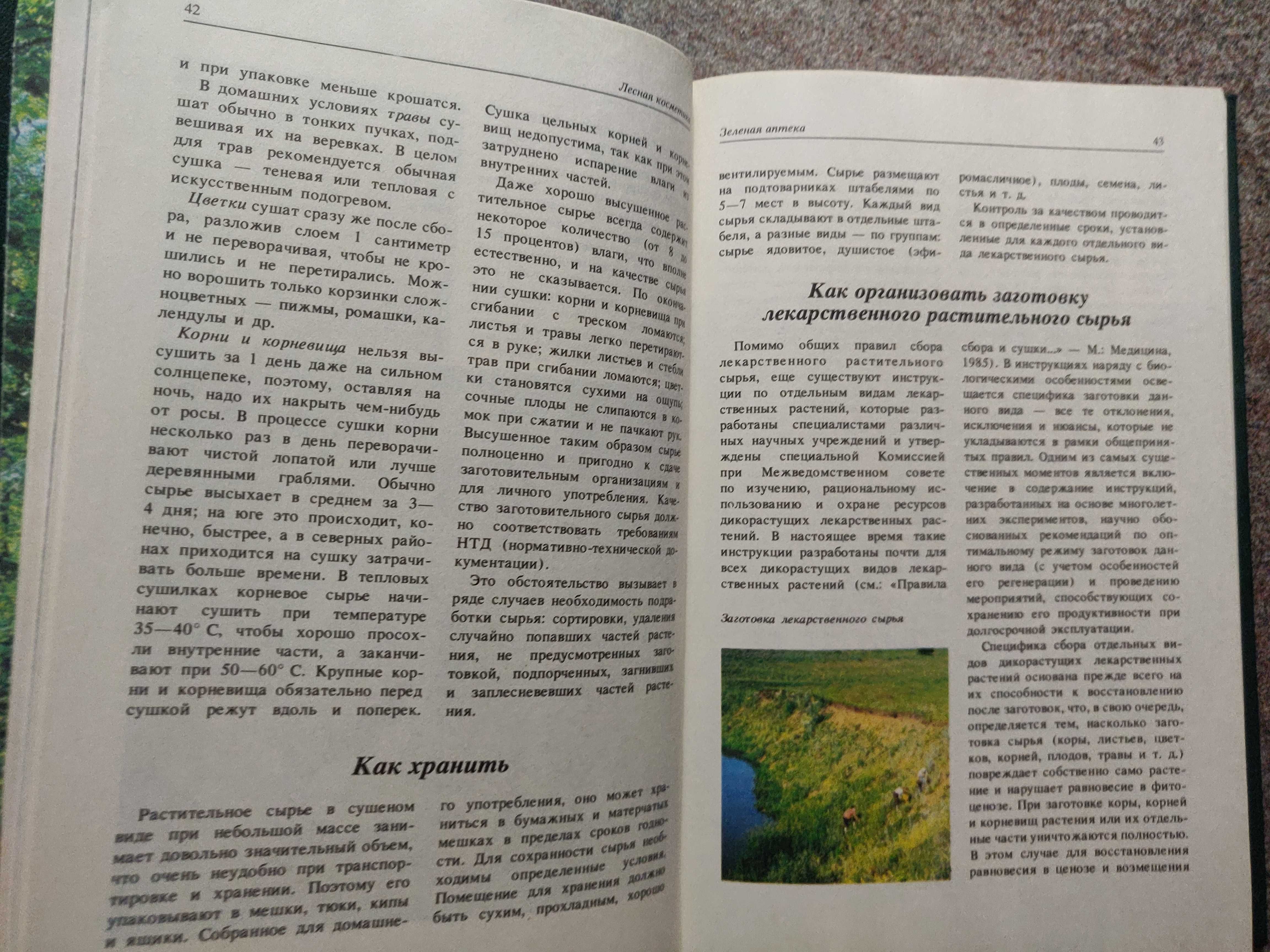 Лесная косметика 1991 год Экология справочное пособие.1991 г. новая