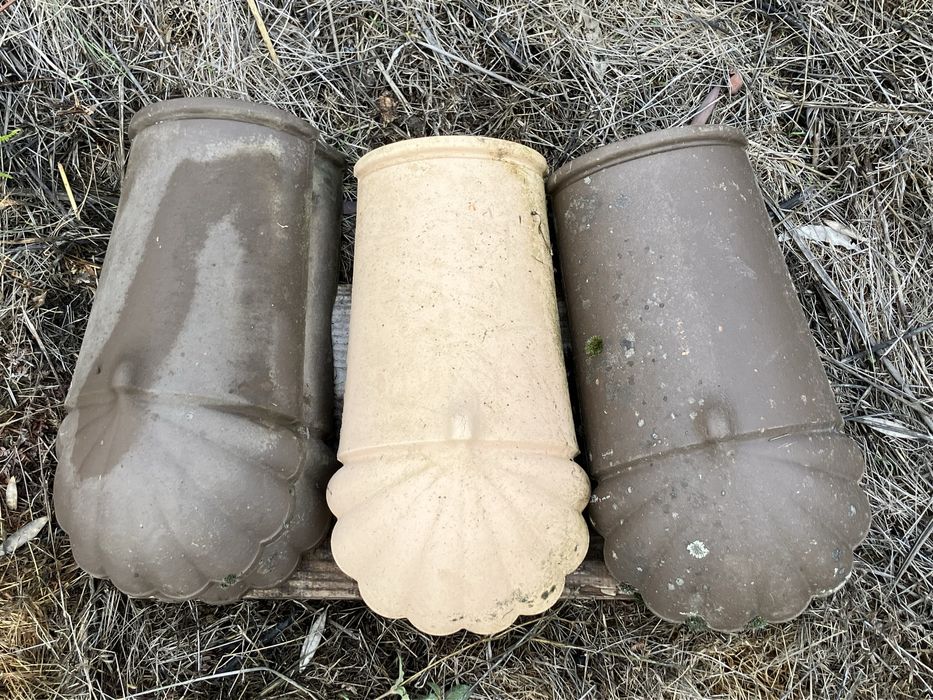 6 Patas Leao Carriça