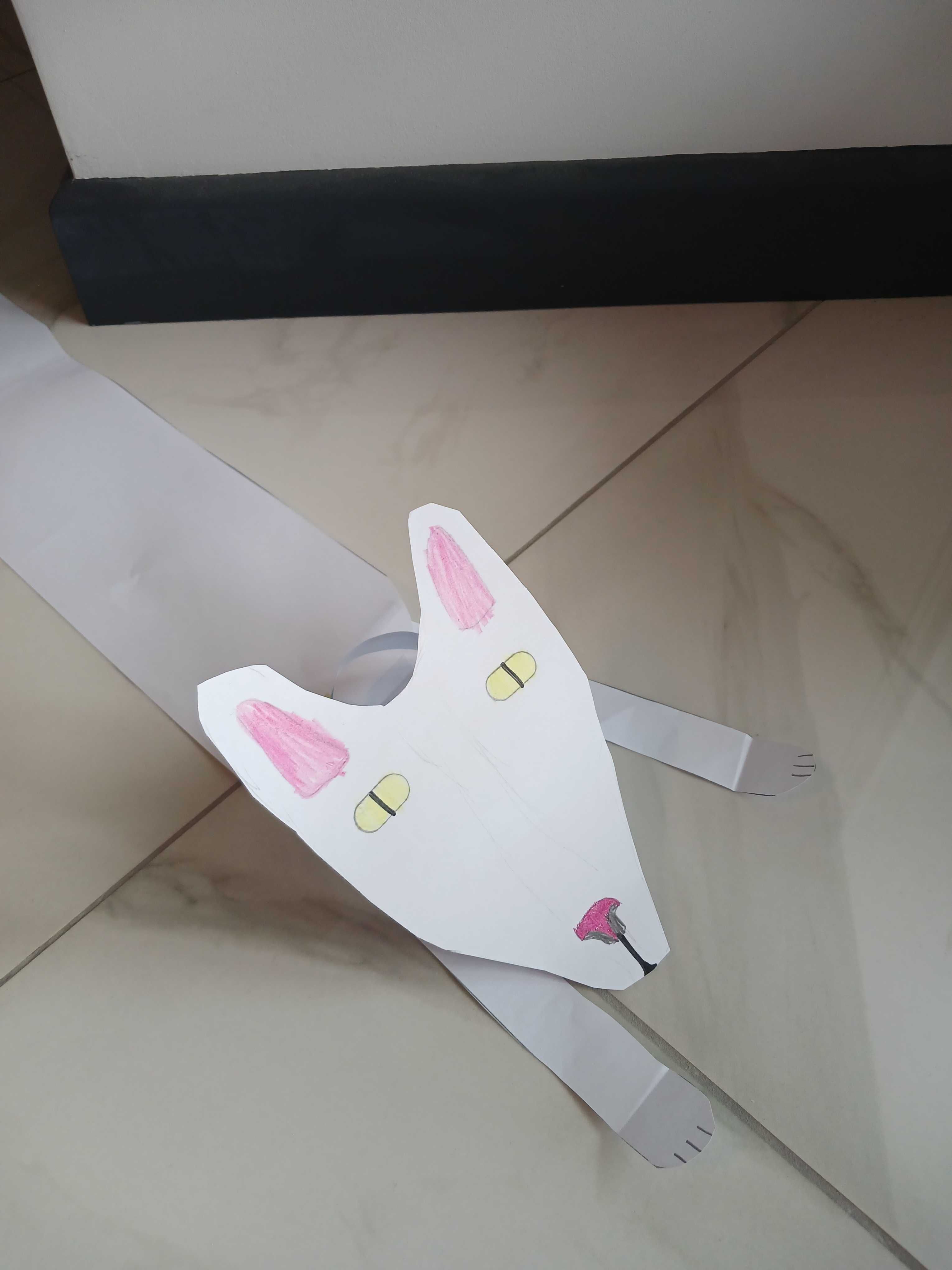 Котики на замовлення