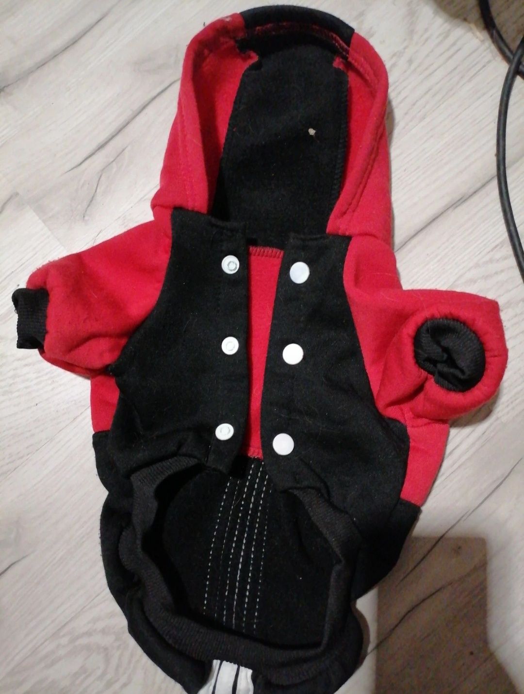 bluza dla małego psa r. s