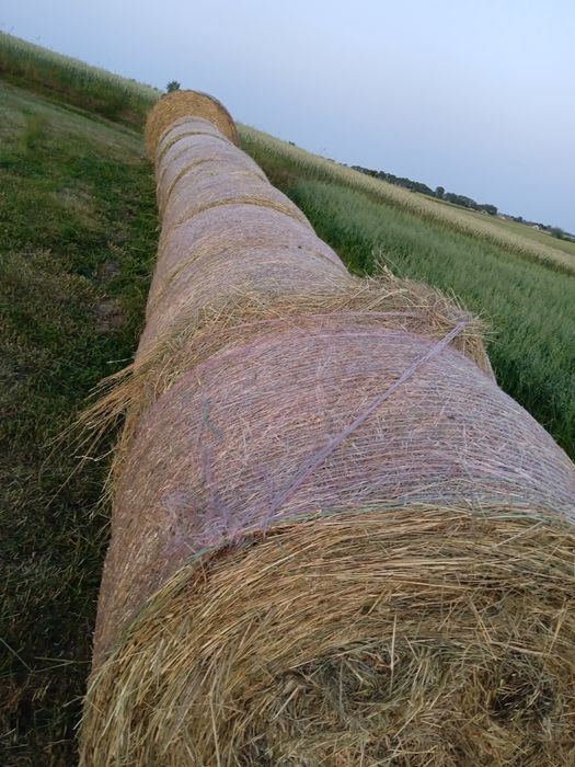 Siano,pierwszy drugi pokos