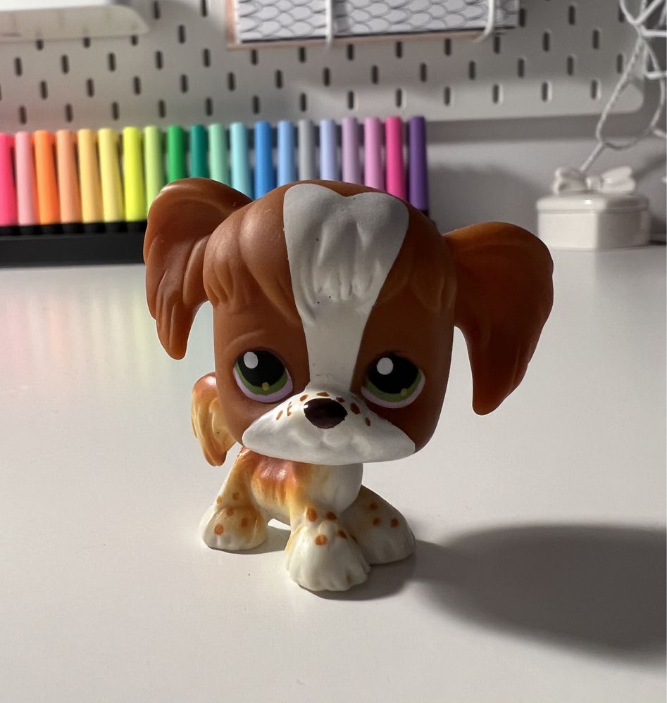 Littlest pet shop spaniel 31 unikat oryginał kolekcja lps