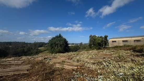 Oportunidade! Terreno 9.000 m² com potencial construtivo (Benedita)
