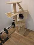Arranhador gatos