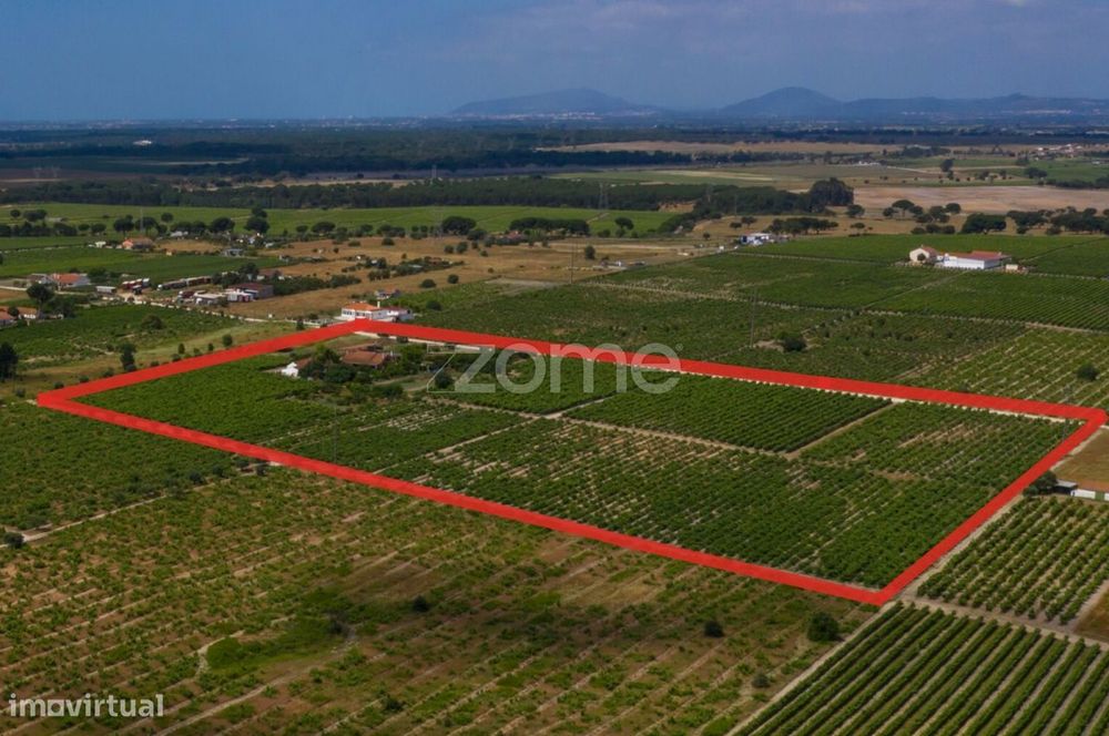 Herdade D. Alda - vinhas prestigiadas e premiadas!