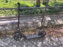 Trotinete adulto
