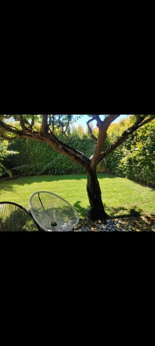 Jardineiro- limpeza e manutenção de jardins