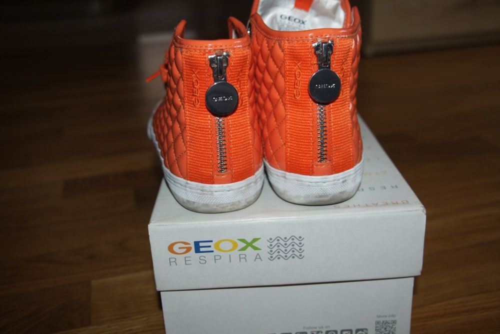 trampki geox