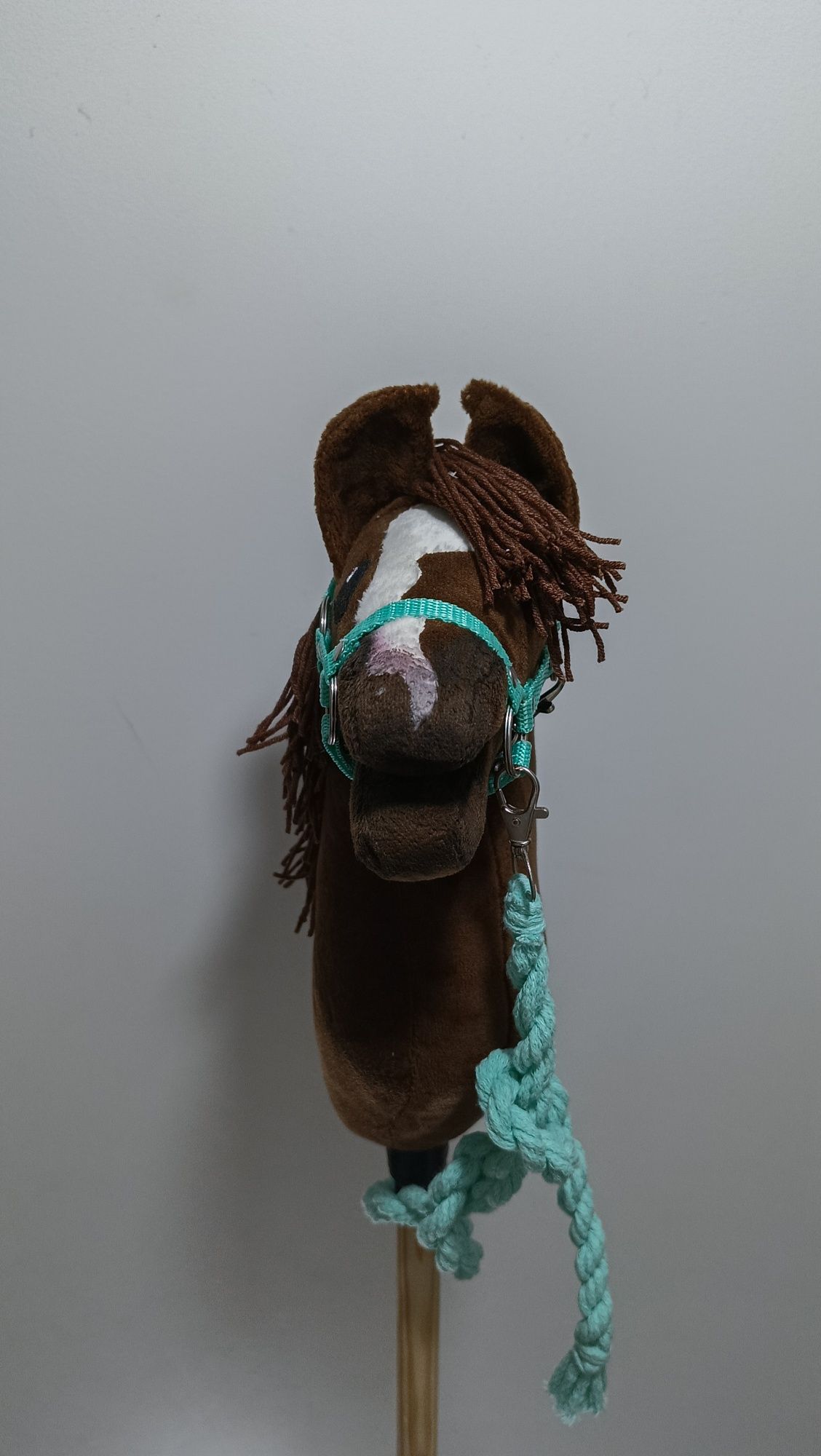 Hobby Horse A5 z kantarem
