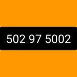 Sprzedam złoty numer 502.97.5002