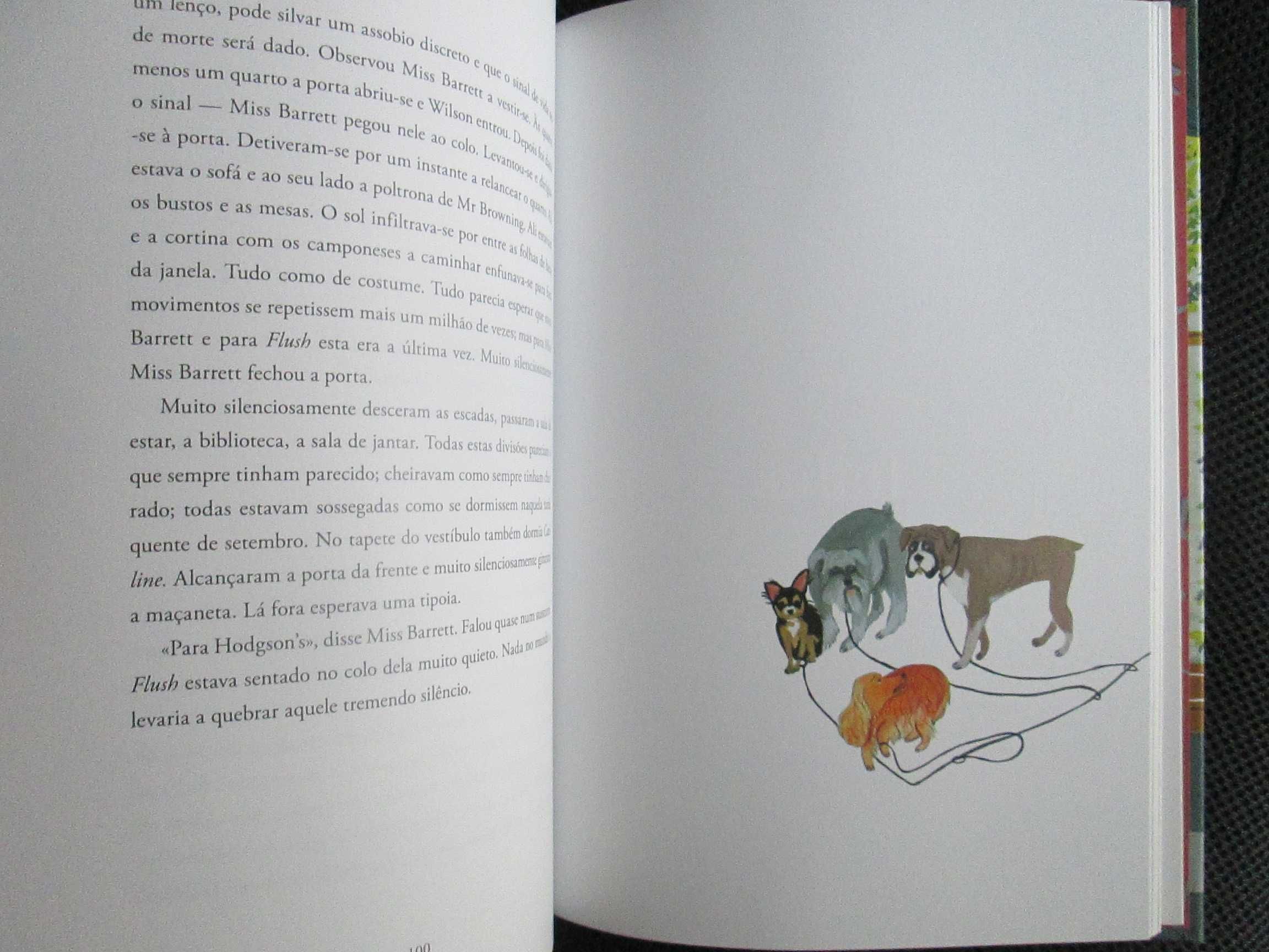 Flush - Biografia de um cão, de Virginia Woolf