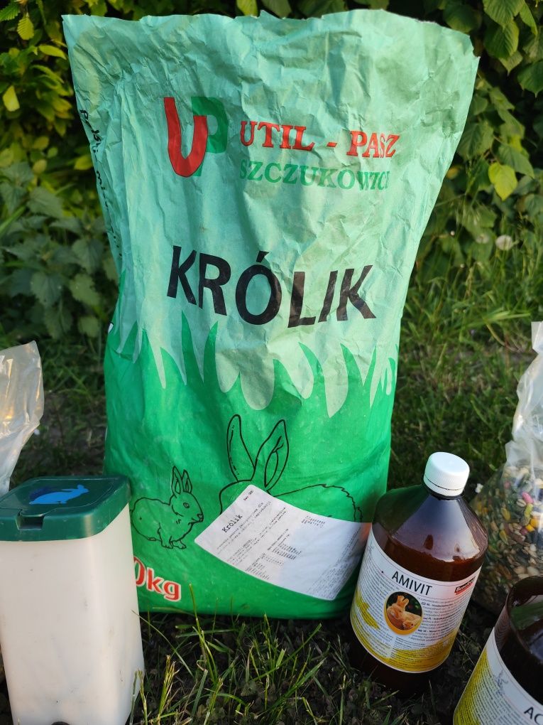 Zestaw dla królika