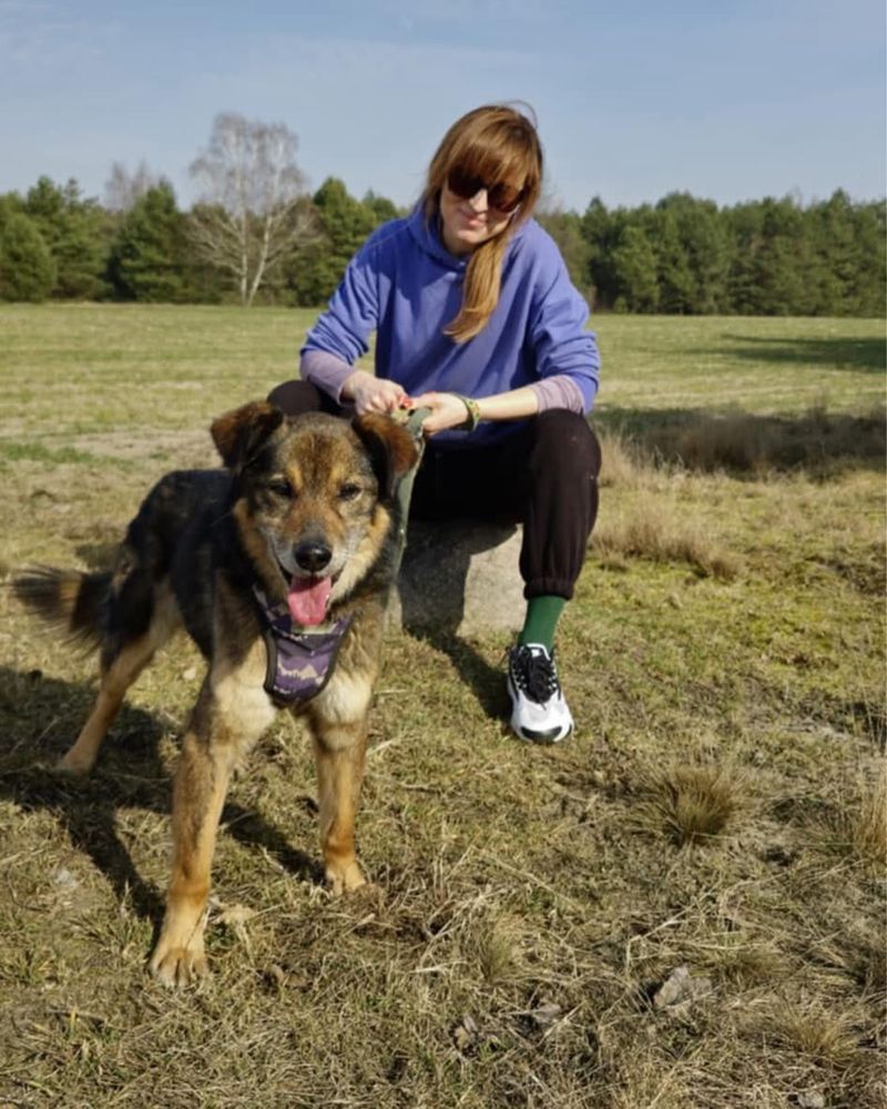 Fiołek czeka na ciebie