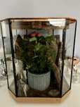 Terrarium  szklane