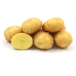 Картошка семенная домашняя, картопля на посадку