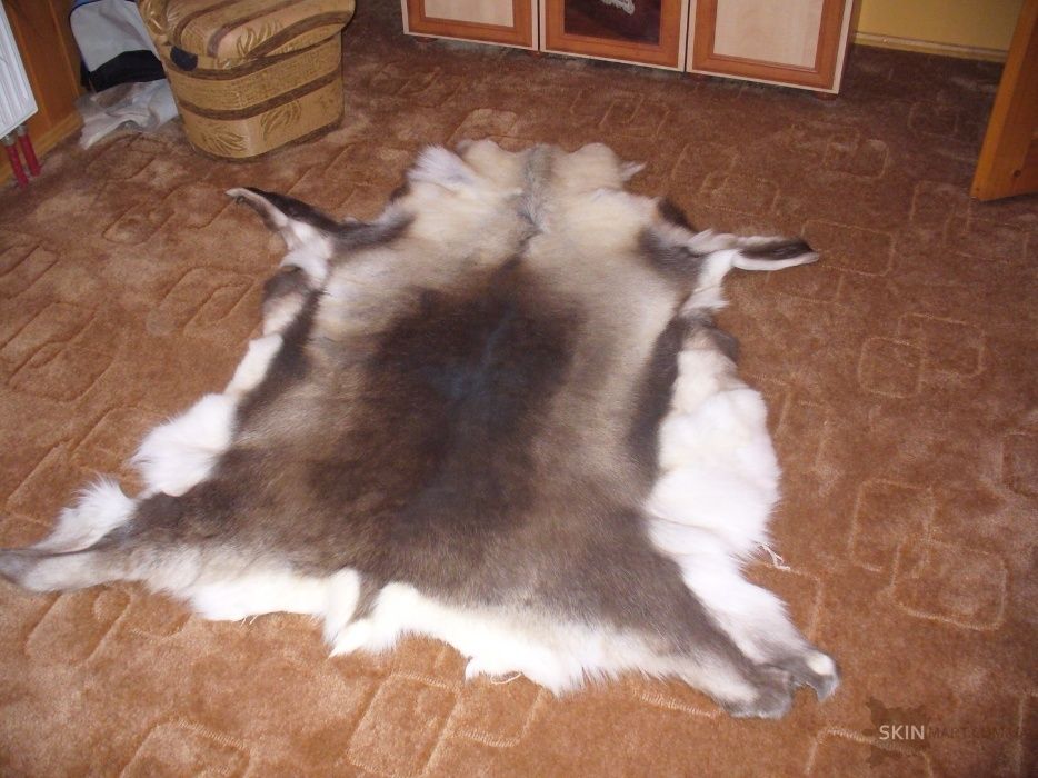 Олень, шкура з оленя, шкура диких тварин