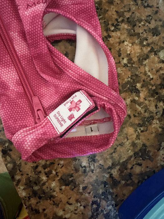 Body pos cirurgico gato T1