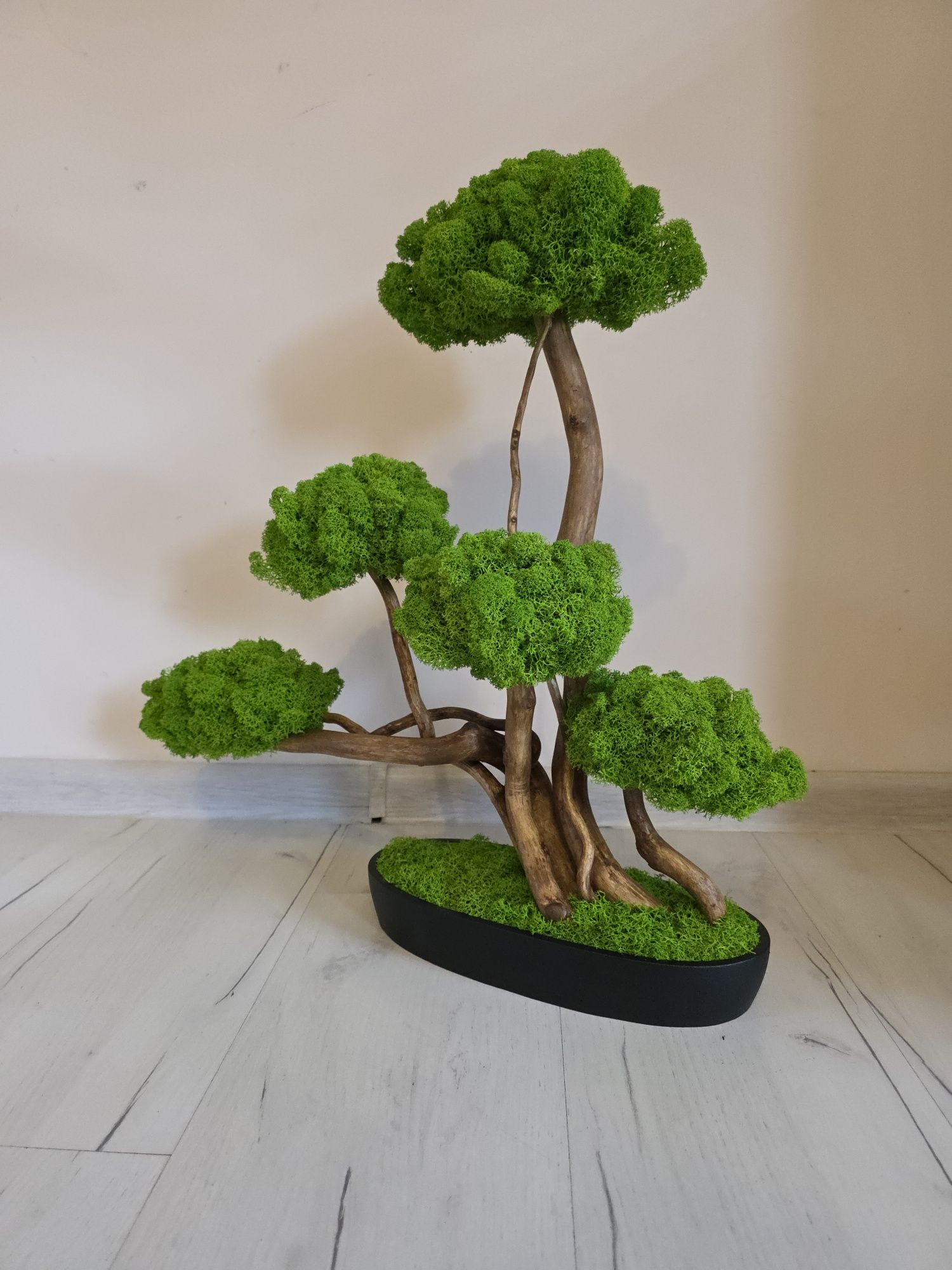 Drzewko bonsai Duże 50 cm.Mech Chrobotek. Dekoracje wnętrz. Prezent .