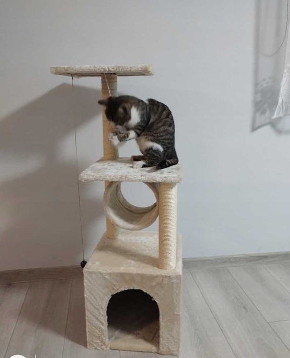 Wysoki drapak legowisko słupek do drapania, wieża do kota beżowy