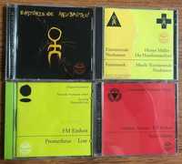 Einstürzende Neubauten і проекти на CD