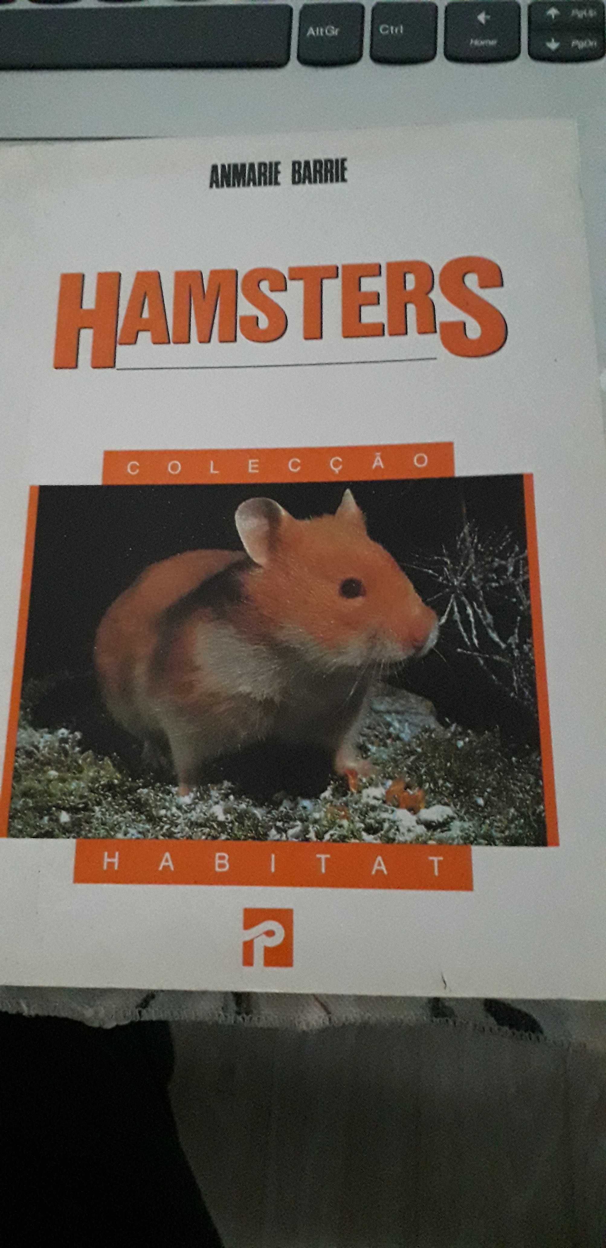 Hamsters - Hamsters as a new pet