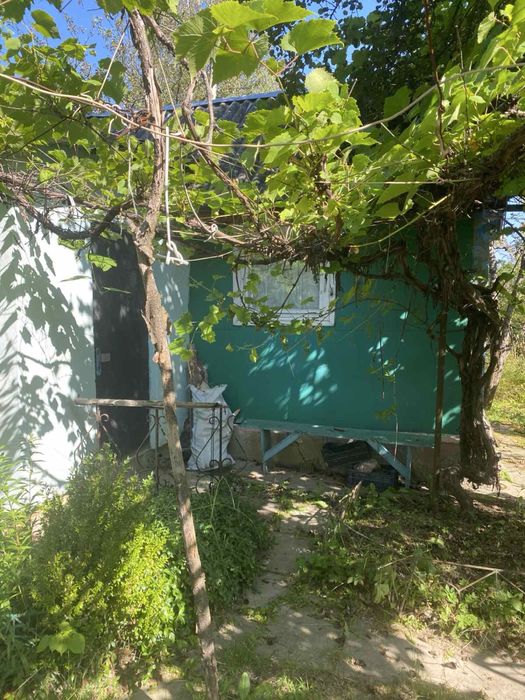 Продаж дачний будинок і прилегла земля