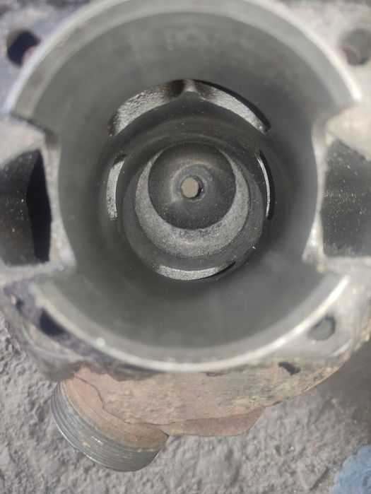 Поршнева від муравя