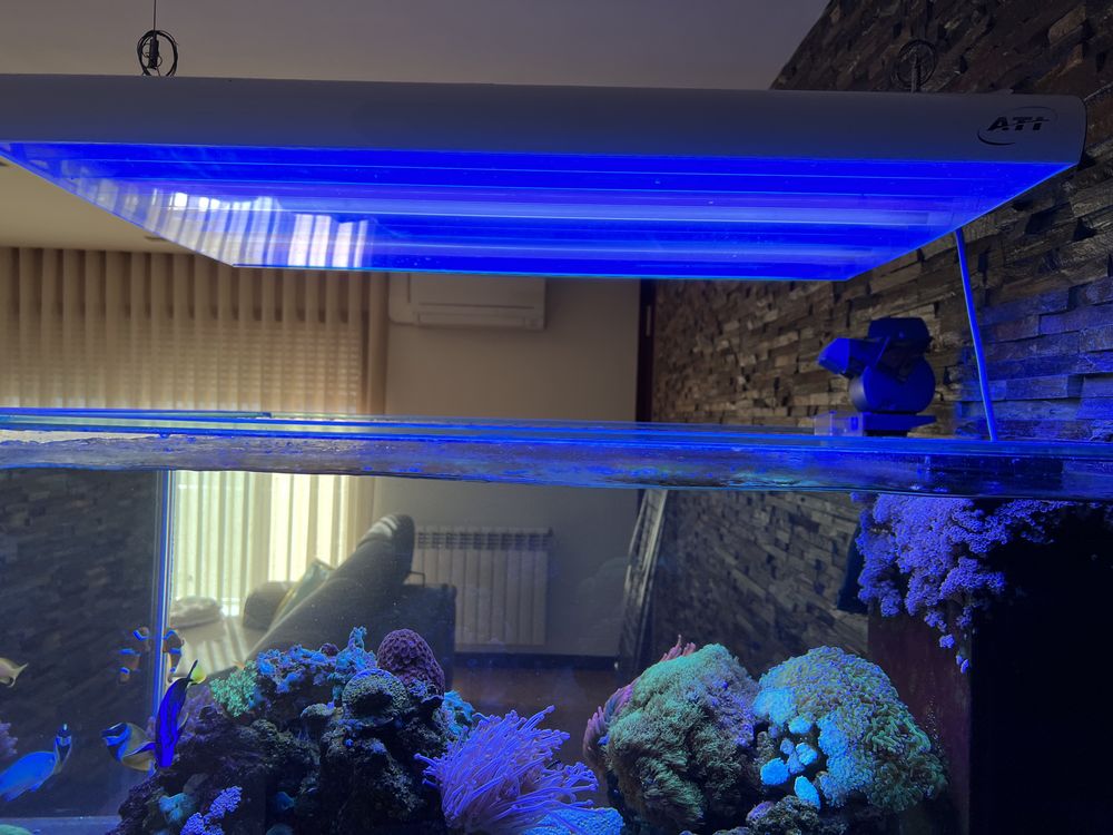 Iluminação aquário ATI T5