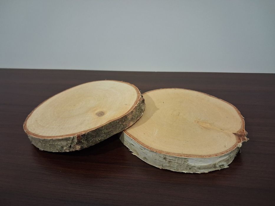 Plastry brzozy ŚR 12-15 cm