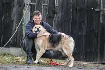 Rino - bardzo fajny pies do adopcji