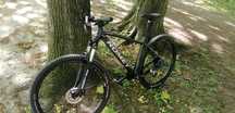 Rower romet mustang M2