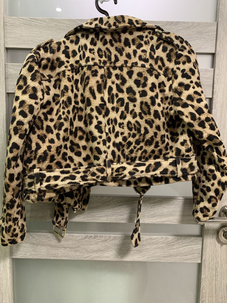 Куртка весенняя косуха Zara S/Леопардовый принт