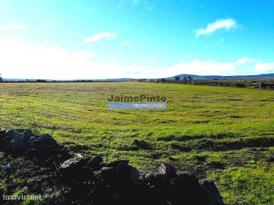 Terrenos rústicos 115.000m2, Escalhão. Portugal, Guarda, F. C. Rodr...