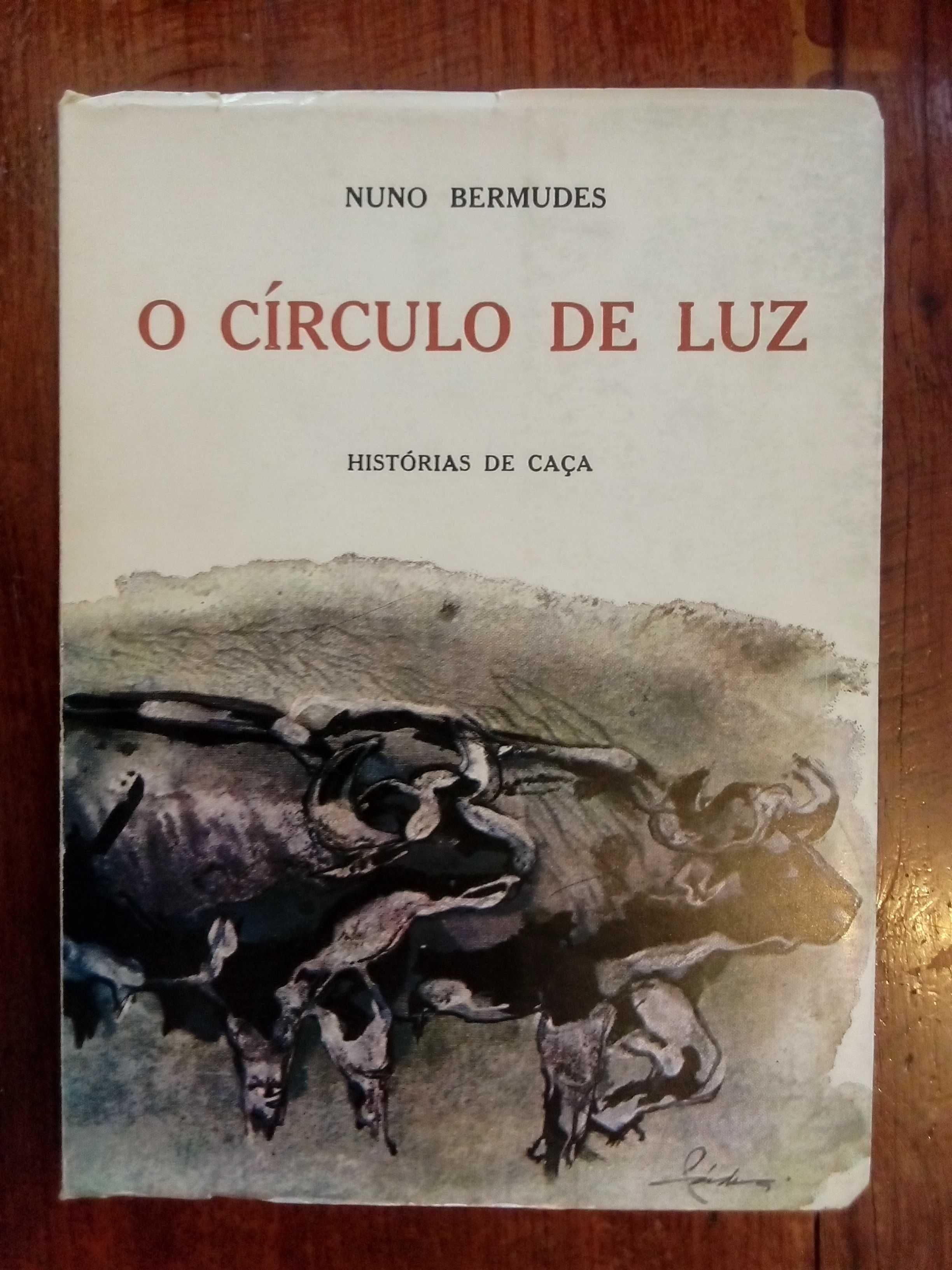 Nuno Bermudes - O círculo de luz