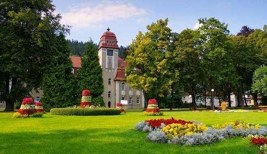 Apartament Górski Widok